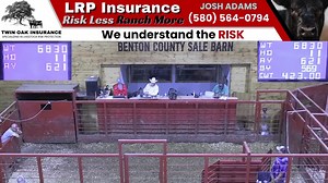 8/28/2025 - Cattle Auction - Benton County Sale Barn