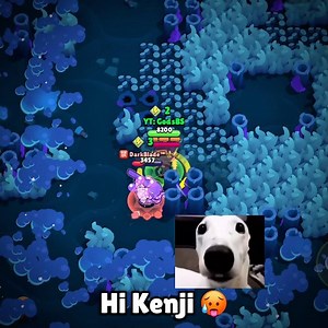 Why aren’t they afraid of me… 😭