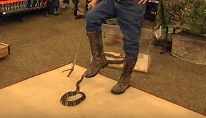 2018 Best Snake Proof Hunting Boots