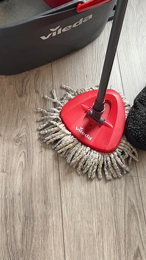 I hate mopping, but this mop makes it feel like a breeze. The Vileda Easy-Wring spin mop is actually kinda fun to use. My apologies to Jordan Peterson and Ben Shapiro. Not. Grab your spin mop: https://amzn.to/49DCkIV #mop #wetassfloors #cleaninghack #skepticshopper | Godless Mom