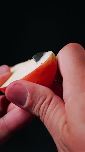 Mini Titanium Compact Bottle Opener & EDC Cutter