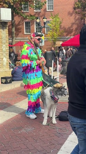 The coolest duo today #salem #scavengerhunt #shorts #dog