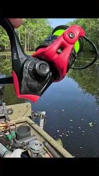 how to fish a Crappie Jig with a live Minnow together for Crappie fishing