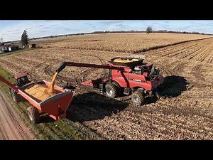 Wet Conditions - Solid Fill - CASE IH Axial-Flow® 8120 - MX270 - KB 1600 Harvest 2023 #harvestchaser