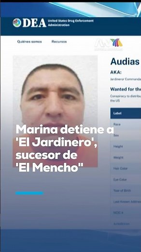 Major blow to the CJNG: “El Jardinero”, right-hand man of “El Mencho”, captured