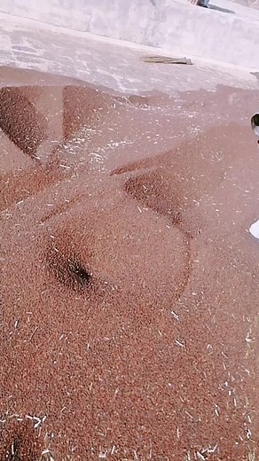 Corona effect #LifebuoyKarona #virelvideo #haryanvi #desi_swag #desichora #foryou #public #challenge @bholujoon19 #washyourhands