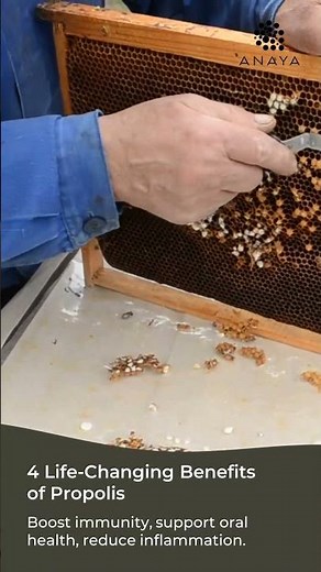 4 Life-Changing Benefits of Propolis