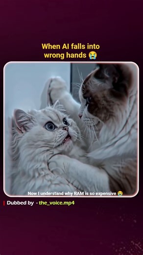 This Is What Happens When the Wrong Person Uses AI | hindi dubbed | #cat #ai #cats
