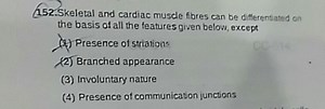 152-skeletal-and-cardiac-muscle-fibres-can-be-differentated ...