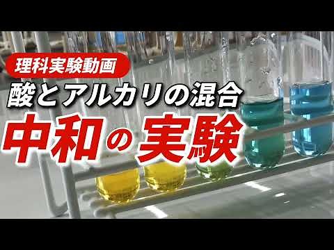 中和とイオン〜酸性とアルカリ性を混ぜるとどのような化学変化が起こる？〜【理科化学実験】