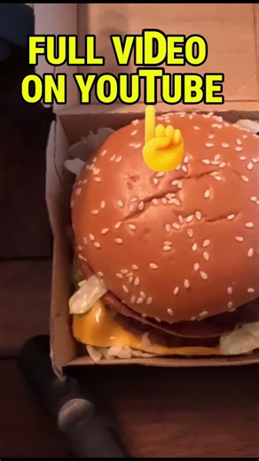 Real Butcher Meat vs McDonald’s Meat Under a Microscope!