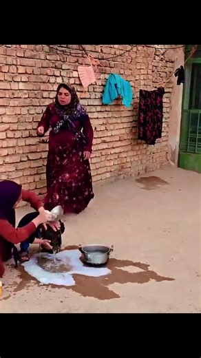 Exploring Nomadic Life and Desert Stories