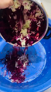 Again ready ho reha hai mukhwas 3rd time to ager order karna ho to msg kre varna recipe mere page p hai #amla #amlamukhwas #mukhwas #wintervibes #Holidays #recipe. #recipe #amlamukhwas #amlacandy | Manju mom's Cooking classes