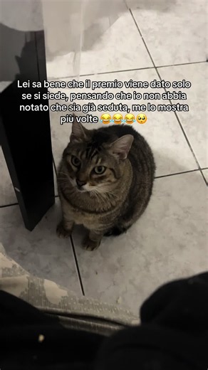 Tiffany che cuore sei: il video dolce con la pappa
