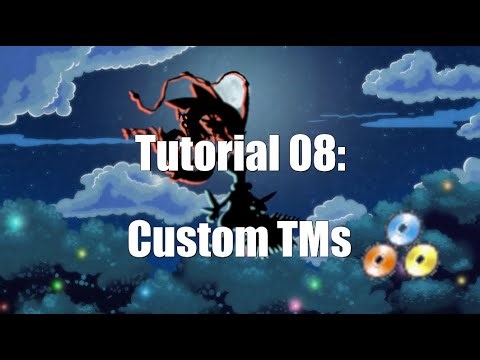 Tutorial 08: Custom TMs