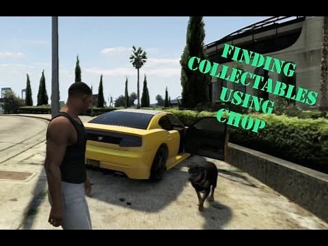 GTA V: How to Find Collectables Using Chop