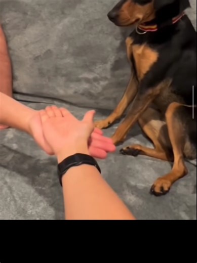 Videos de Ruler (@ruler7641) con “sonido original - Ruler”