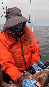 They will take a big bait. | Andrew Addison