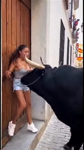 Nikhil Guptaji on Instagram: "The Bull Who Caught a Thief?! (Or Did He? You Decide!) In a shocking street scene in Spain, a young woman who was perhaps trying to steal something or was simply in the wrong place at the wrong time, found herself face-to-face with a powerful bull! The massive animal, led by a rope, corners her against a doorway. She desperately holds on to the rope, pulling against the bull’s immense strength, her face a mask of terror. Other people watch from windows and the stree