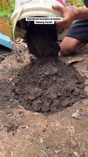Make compost in a soil hole #gardening #garden #agrikultur #gardeningtoolkit #homegardening