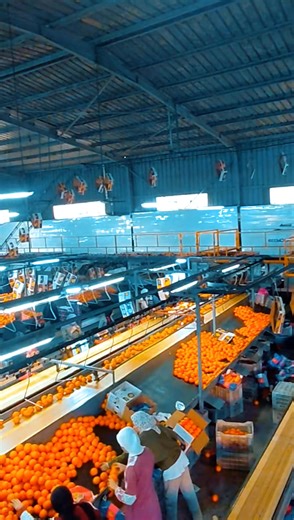 #fyppppppppppppppppppppppp #مرحباً_بالجميع #fypシ゚viral🖤tiktok #السعوديه🇸🇦💚 #سوريا @mshmsh @🪽Ahmed karam @ebrahimhassballa @Hussein ali🐺 @نادر سعيد @🇪🇬 Ahmed Elsehamy 🇵🇸