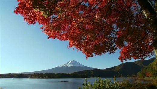 Hafu - ハーフ - Half , Hafu: The Mixed-Race Experience in Japan