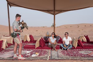 6.1K views · 70 reactions | This luxury and exclusive Falconry experience takes you on a journey into the fascinating world of Falconry in this region. Witness a one-of-a-kind falcon show which shows off ancient training techniques with lures and the more modern counterpart with drones. | Platinum Heritage Dubai | Facebook