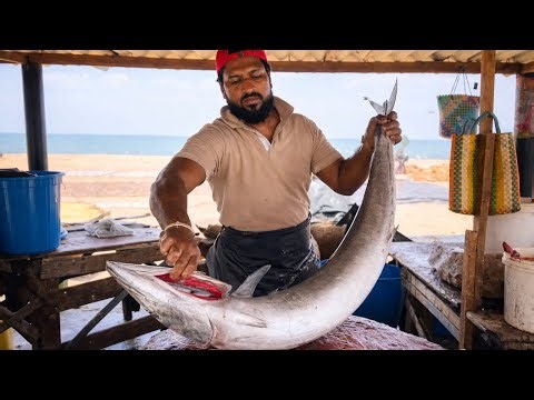Amazing Fish Cutters Expert Cutting Skills You've Ever Seen 😲 | Knife Skills at Coastal Market