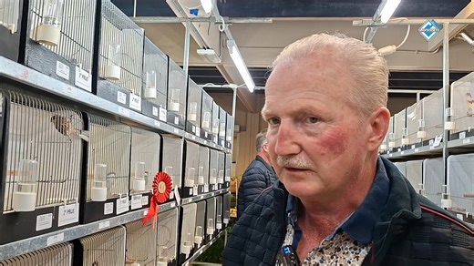 In Buurthuis De Brug in Bellingwolde stonden dit weekend ruim 300 vogels zij aan zij tijdens de jaarlijkse show van Vogelvereniging Vogelvreugd. Van kleurkanaries tot parkieten in alle soorten en maten: het buurthuis vulde zich met zang en kleur. Voorzitter Stoffer Klooster vertelt dat de leden hier maanden naartoe werken en dat de show voor hen het hoogtepunt van het jaar is. De variatie was groot en veel vogels sprongen eruit, van opvallende kleuren tot bijzondere soorten waar de leden trots o