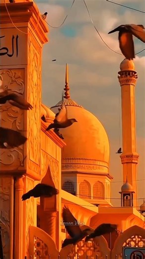 O Allah De Almighty ✨✨ #islamicstatus #yt #shorts