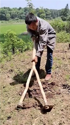 Efficient hoeing process with creative tools