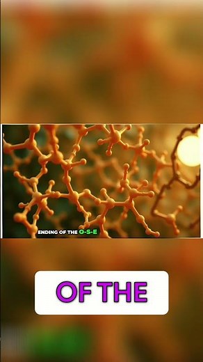 Monosaccharides: Key to Understanding Macromolecules