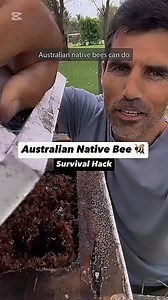 8.3K views · 163 reactions | @outback_mike - Australian native bees are amazing! #nativebees #bees #beehive #savethebees | The Bee Partner | Facebook