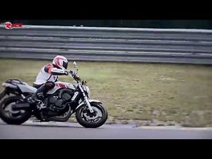 Yamaha FZ6 (2004) on track - Danilo Zagnoli
