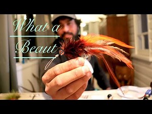 Murray cod Flytying