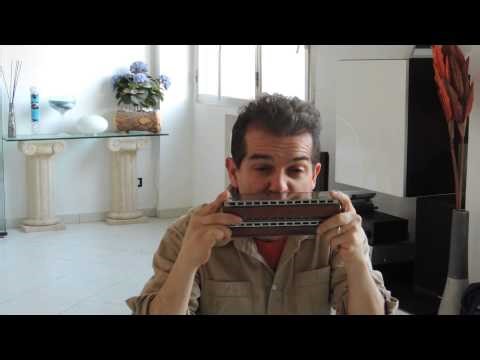 Bass harmonica , Minor Swing