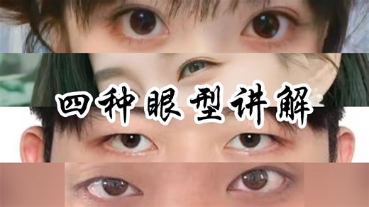 【眼睛识人术】四种眼型讲解！教你看眼睛识人？