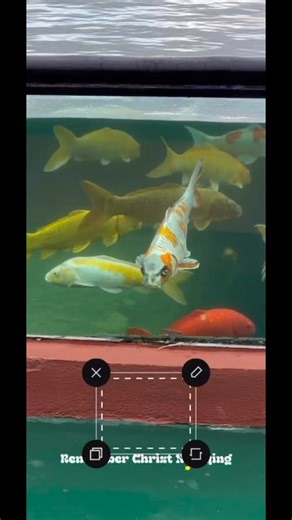 Marson Lucas on Instagram: "APOCALIPSIS 21:27 (ADB) At hindi papasok doon sa anomang paraan ang anomang bagay na karumaldumal, o siyang gumagawa ng kasuklamsuklam at ng kasinungalingan: kundi yaon lamang na mga nakasulat sa aklat ng buhay ng Cordero."