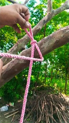How to Tie a Strong Rope Knot on a Tree Branch #RopeKnot #RopeTricks #UsefulKnots #LifeHacks
