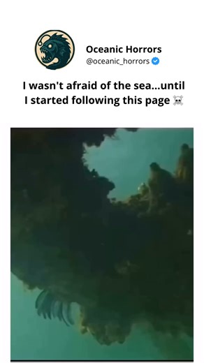 Oceanic Horrors | 🌊 From siren legends to deep-sea monsters, from shipwrecks to the beauty of the waves… the ocean is a world of wonder and danger. ➡️... | Instagram