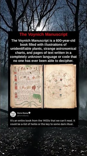 The Voynich Manuscript is a 600-year-old book filled with illustrations of unidentifiable plants