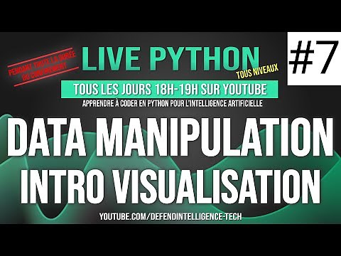 #7 - Apprendre à coder en Python pour l'Intelligence Artificielle - Data Manipulation (intro viz)