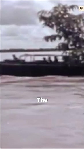 Rare Navy SEALs Combat in Vietnam Jungle | Colorized 4K Restoration