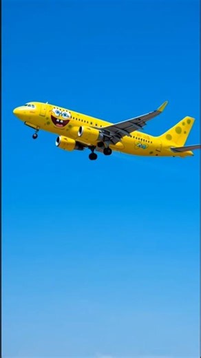 There is a spongebob plane 🍍🍍 #shorts #trendingshorts #shortvideo #fyp viral #funny #comedy #viral