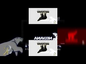 (REUPLOAD) (YTPMV) I Accidentally Nelvana Scan