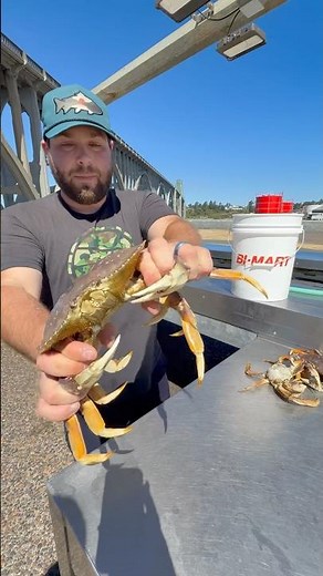 How to clean a crab! So Easy!