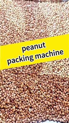 200g 500g 2500g vertical pouch peanut packing machine#peanut #packingmachine