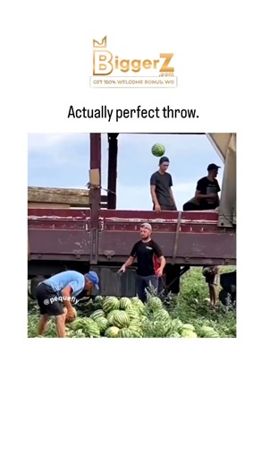 Sarcastic_junction on Instagram: "#biggerz instagram showcases a 13-second video of farmworkers in a watermelon field rhythmically tossing heavy fruits into a truck bed, with a standout arcing throw landing perfectly amid piles, overlaid with Louis Armstrong's "What a Wonderful World" for a feel-good vibe. It has exploded to 3.6 million views and 5,000 likes within 24 hours, drawing replies praising the skill and teamwork while sparking nostalgia for manual harvest jobs and debates on who fills 