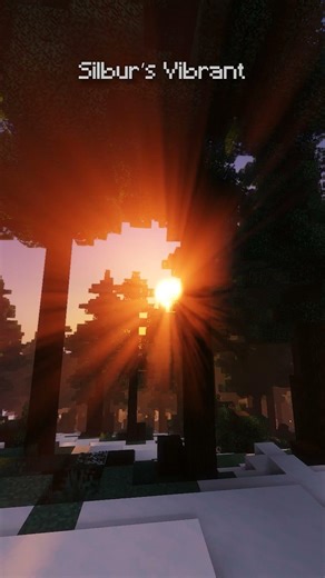 Which Shader Looks Better?