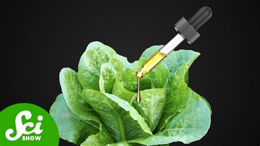 Growing crops with just electricity